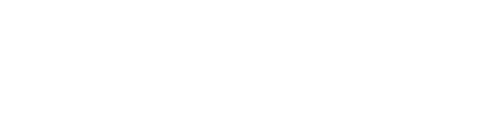 Honda Chroma